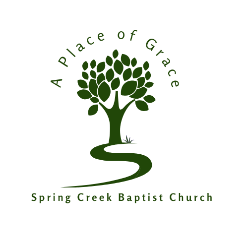 Spring Creek Logo Concepts(1)